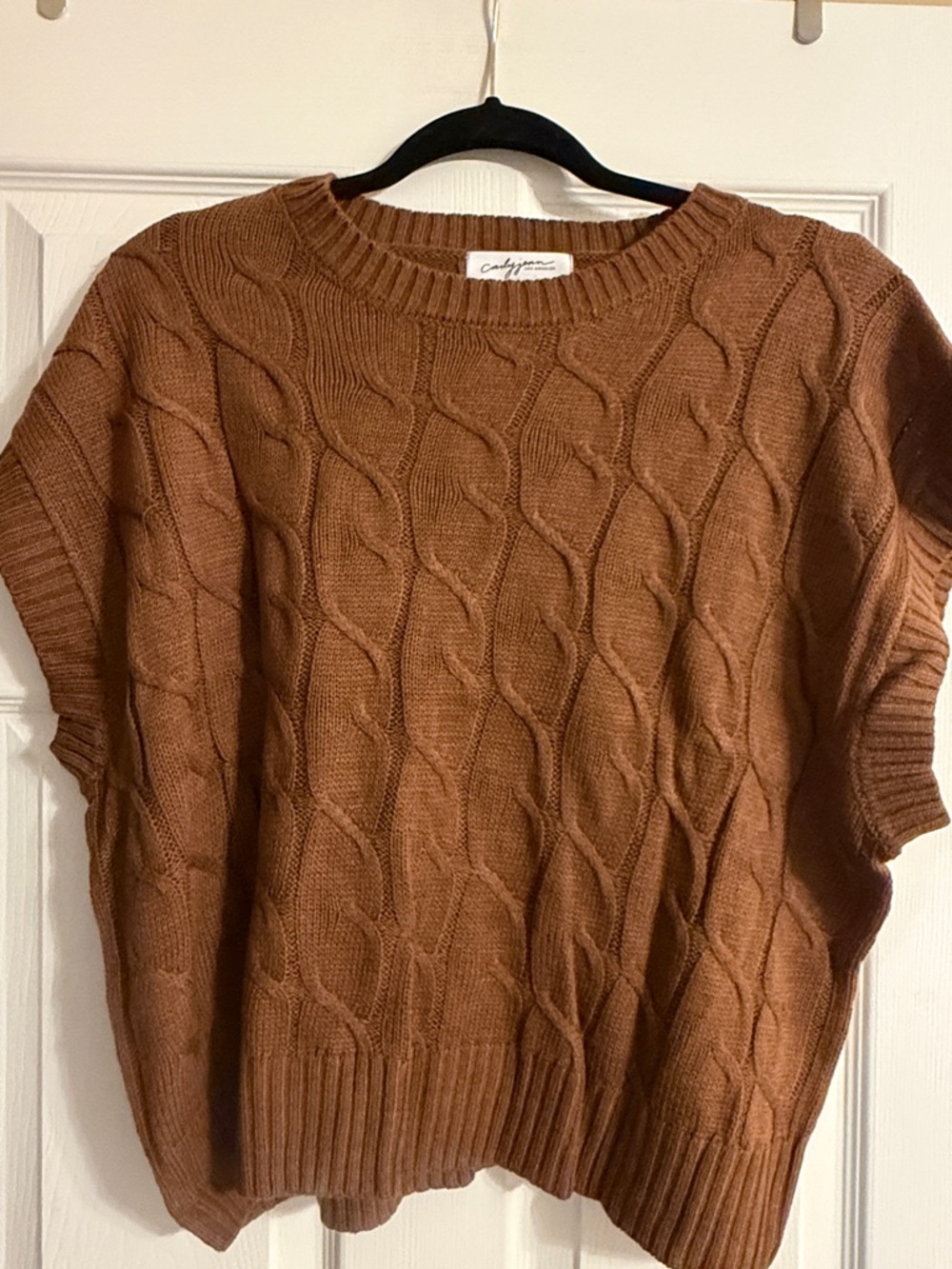 Carly Jean Los Angeles Leighton sweater sz large brown